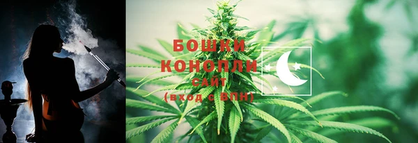 прущая мука Гусиноозёрск