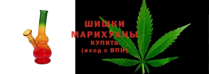 PSILOCYBIN Гусь-Хрустальный