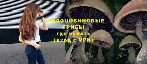 PSILOCYBIN Гусь-Хрустальный
