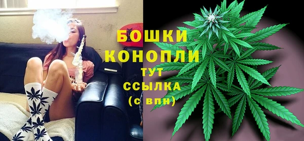 PSILOCYBIN Гусь-Хрустальный