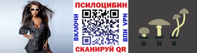 Псилоцибиновые грибы Psilocybe  Долинск 